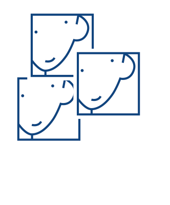 logo_footer